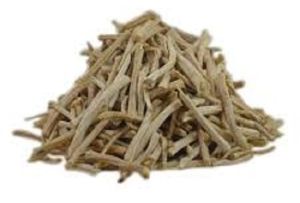 Shatavari Powder