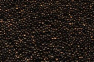 Black Pepper Seeds