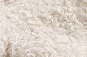 White Washed Sheep Wool