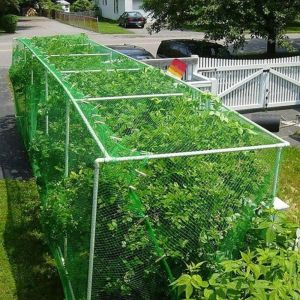 Durable Garden Bird Netting for Plants