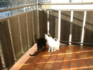 HDPE Balcony Safety Net