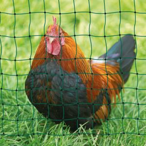 Plastic Safety Net Poultry Fencing Nets