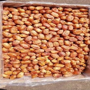 Aa Grade Good Quality Dried Zahidi Dates