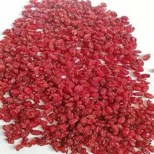 Aaa Grade Dried Barberries