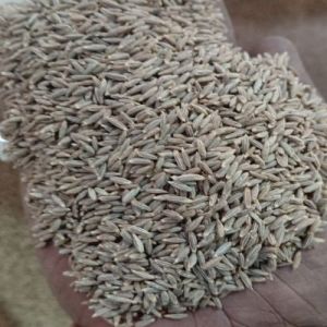Cumin Seed