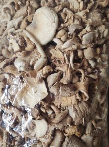 Dry Oyster Mushroom