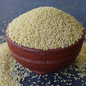 Little Millet Seeds