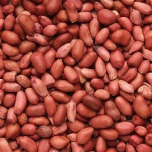 Natural Peanut Seeds
