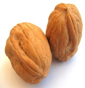 Shelled Walnuts