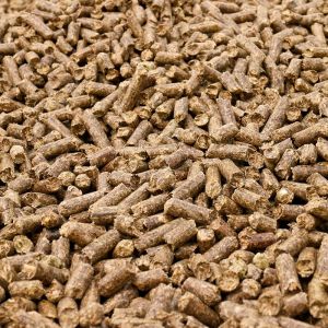 Brown Biomass Pellet