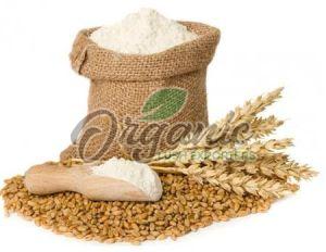 Wheat Flour
