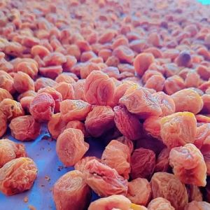 Dried Ladakhi Apricot