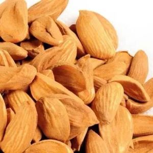 Kashmiri Mamra Almond Nuts