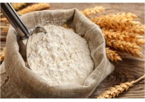Premium Quality Wheat Flour ( Sharbati )