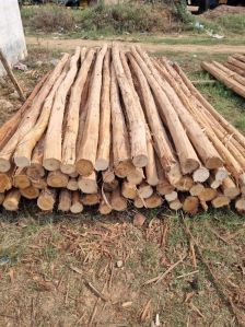 10 Feet Brown Eucalyptus Pole