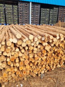 10 Feet Round Wooden Pole