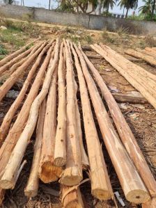18 Feet Round Eucalyptus Pole