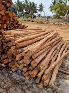 8 Feet Brown Eucalyptus Pole