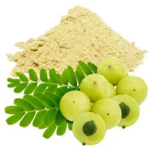 Fresh Amla Powder