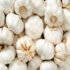 Raw Garlic