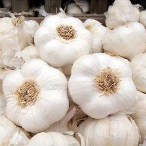 White Garlic