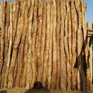 Eucalyptus Wooden Poles