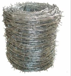 Galvanized Iron Concertina Wire