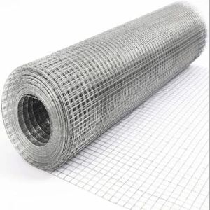 Galvanized Iron Wire Mesh
