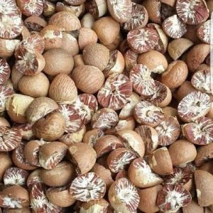 Split Areca Nuts