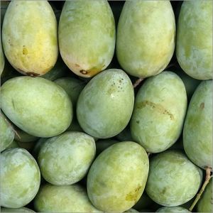 Fresh Green Langra Mango