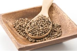 Coriander Seeds