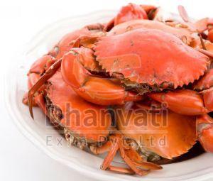 Fresh Sea Crab