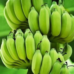 Fresh Raw Banana