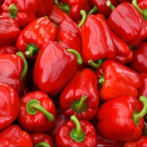 Fresh Red Capsicum