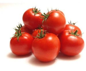 fresh red tomato