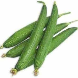 Fresh Ridge Gourd