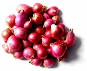 Fresh Small Onion