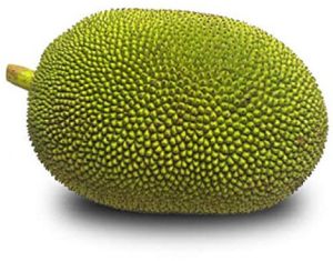 Fresh Tender Jackfruit