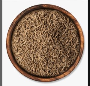 Singapore Cumin Seeds