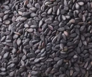 Natural Black Sesame Seed