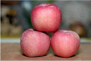 Fresh Fuji Apple