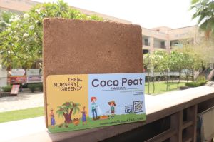Cocopeat Blocks