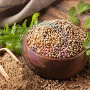 Coriander Powder