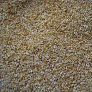 Wheat Dalia