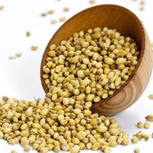 Coriander Powder