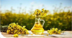 Cold Pressed Rapeseed Edible Oil
