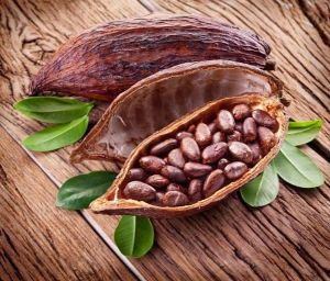 Cocoa Beans