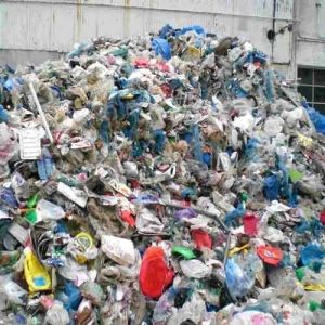 LDPE Scrap