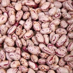 Sugar Beans