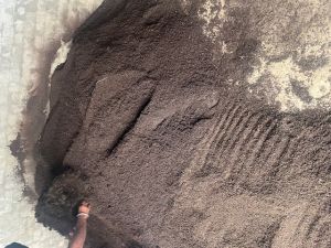 Organic Cow Dung Vermicompost